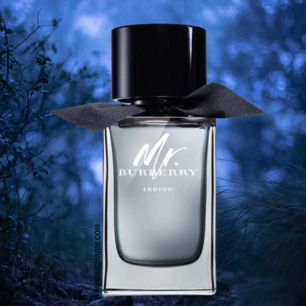Burberry Mr Burberry Indigo Eau De Toilette For Men