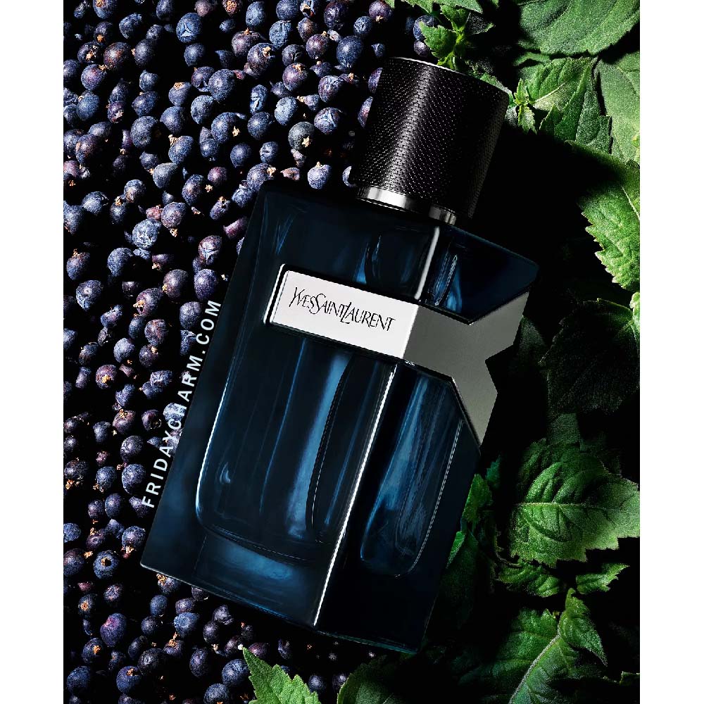 Yves Saint Laurent Y Eau De Parfum Intense For Men 2023 Release