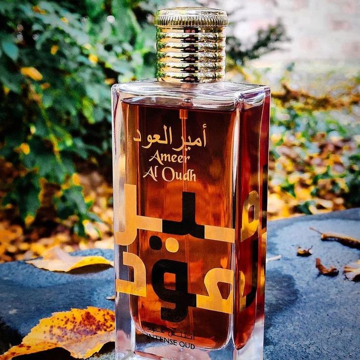 Lattafa Ameer Al Oudh Intense Eau de Parfum-100ml