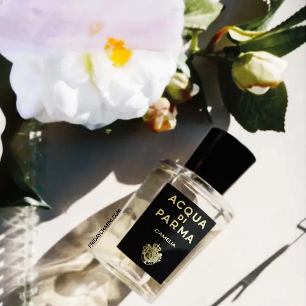 Acqua Di Parma Camelia Eau De Parfum For Unisex