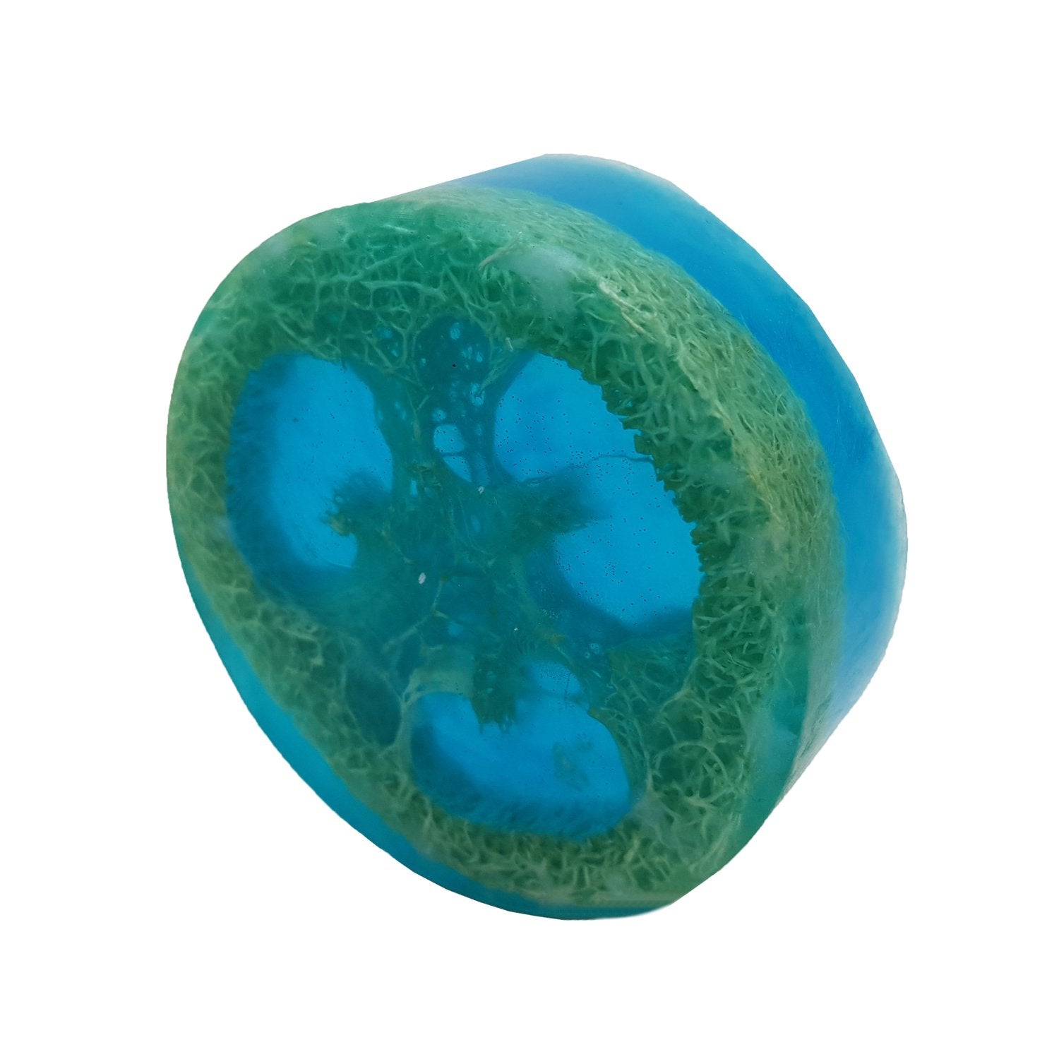 Organic Blueberry Loofah Soap