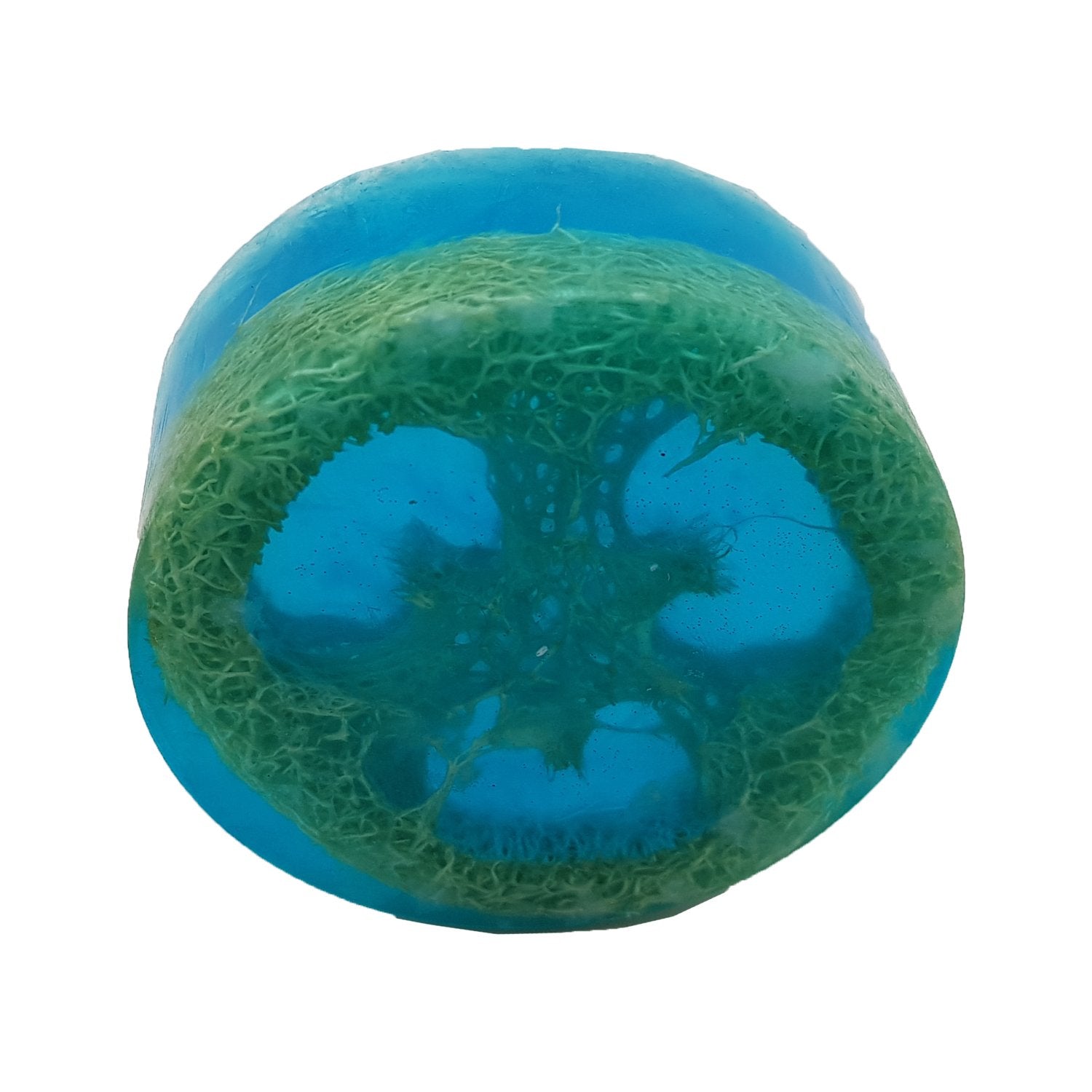 Organic Blueberry Loofah Soap