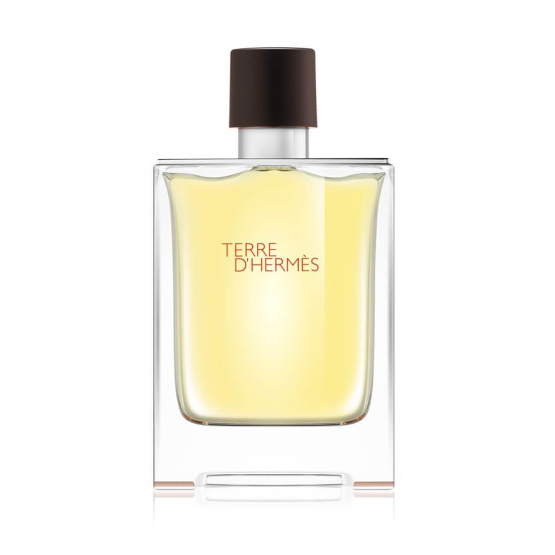 Hermes Terre D'Hermes Eau De Toilette For Men - 100ml