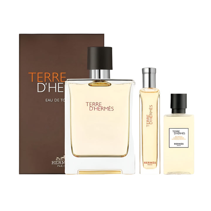 Hermes Terre D&