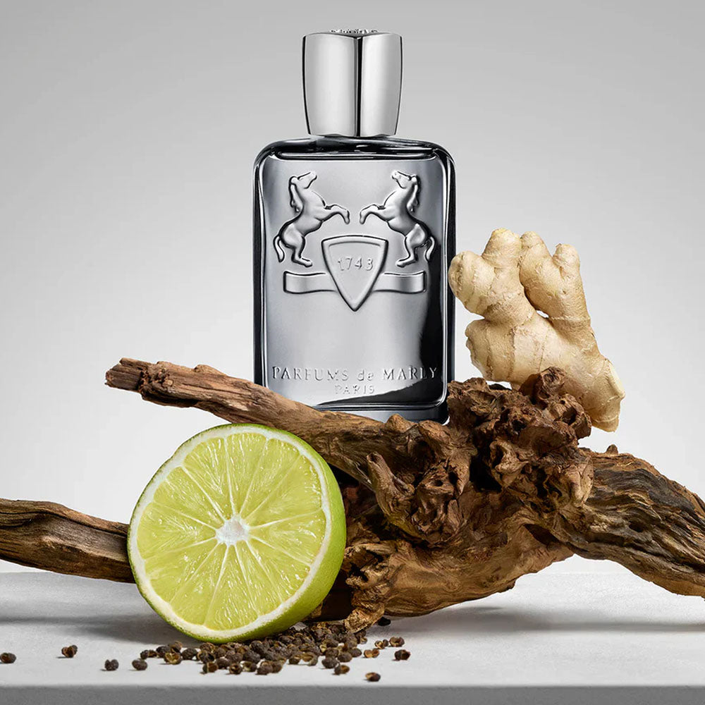 Parfums De Marly Castley Eau De Parfum For Men(New Release 2025)