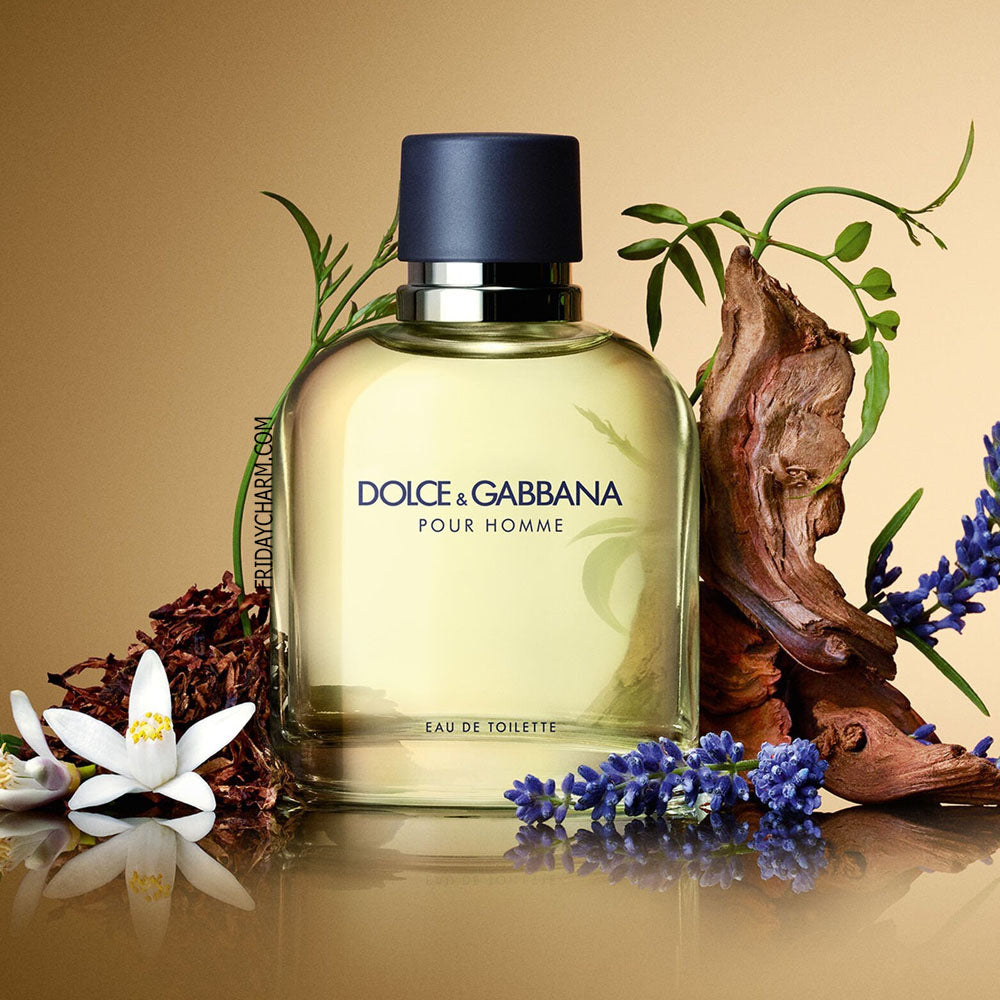 Dolce & Gabbana Pour Homme Eau De Toilette For Men
