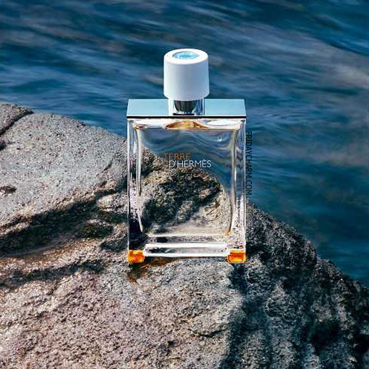 Hermes Terre D&