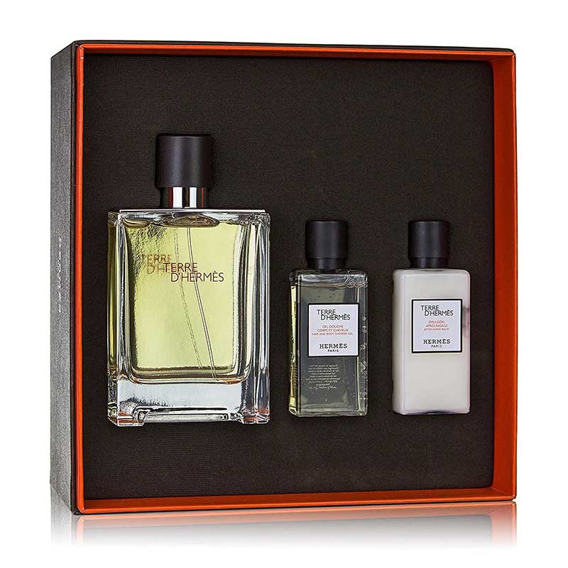 Hermes Terre D&