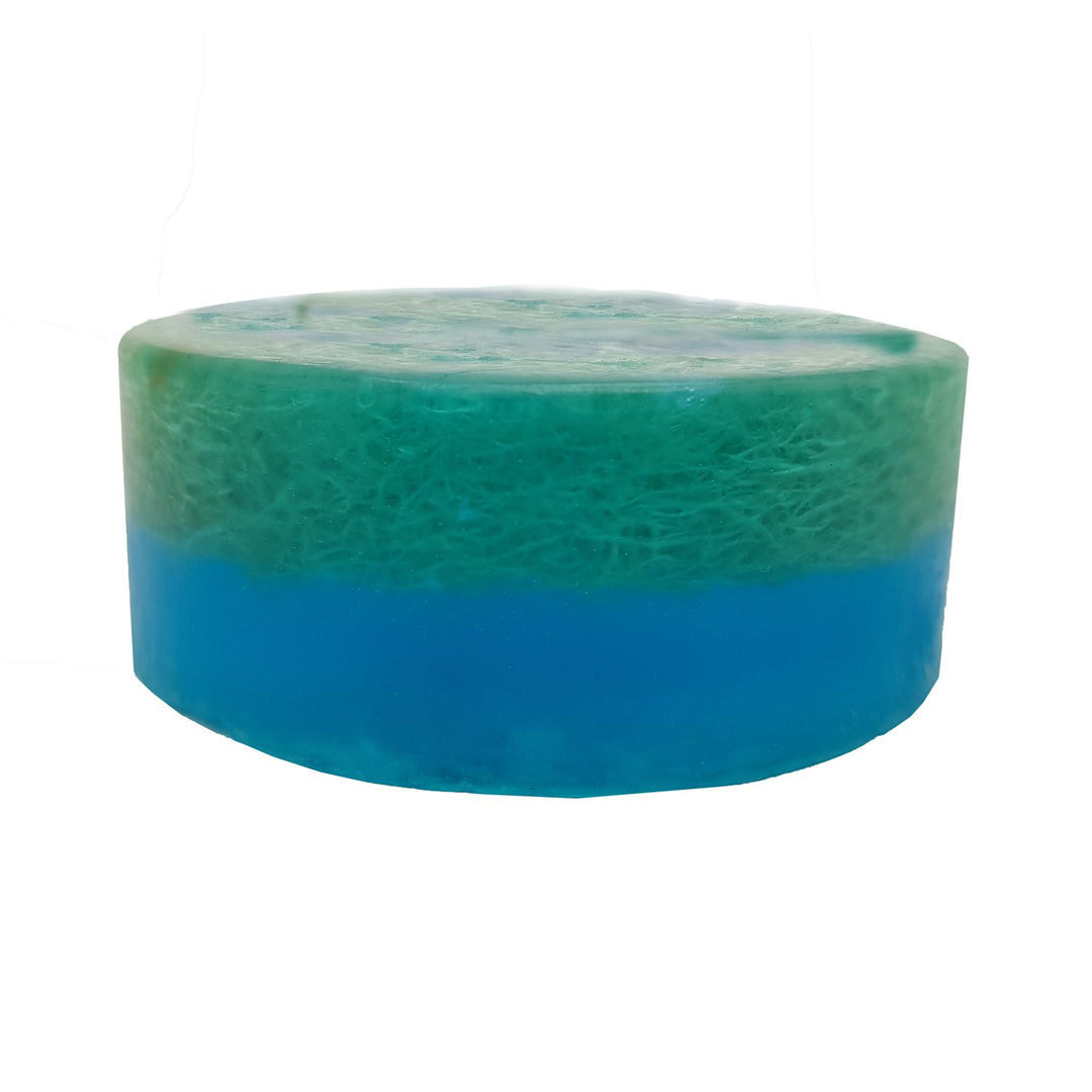 Organic Blueberry Loofah Soap