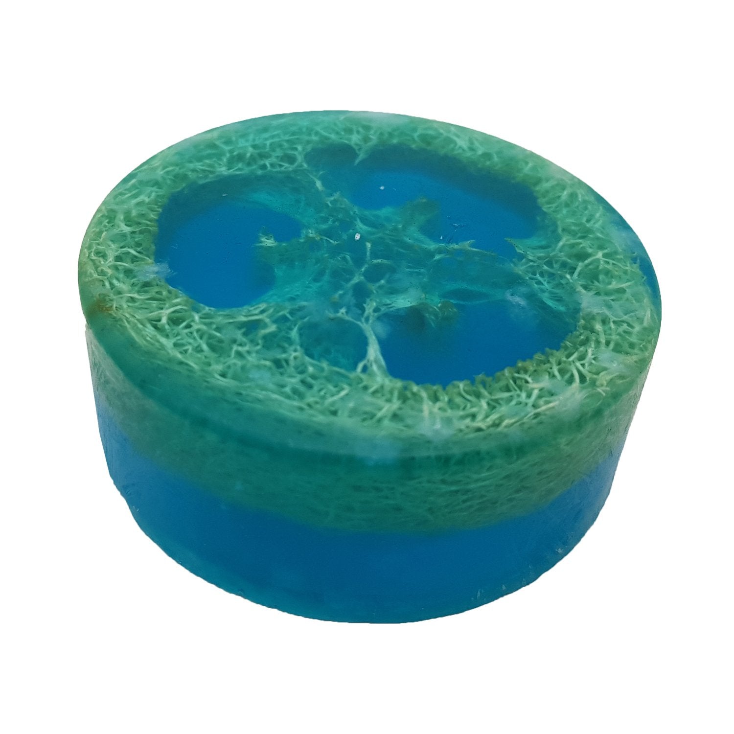 Organic Blueberry Loofah Soap