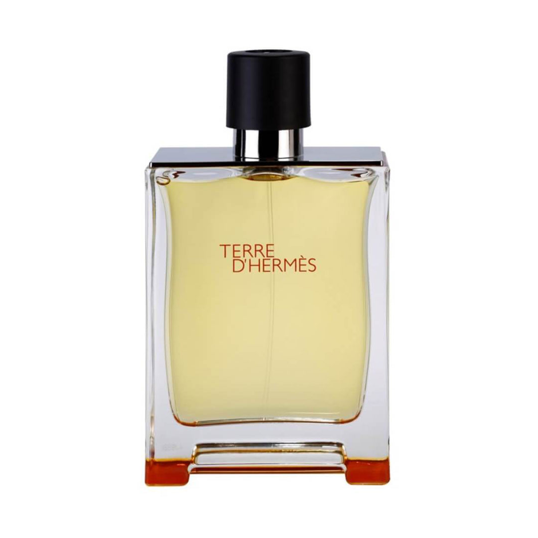 Hermes Terre D&