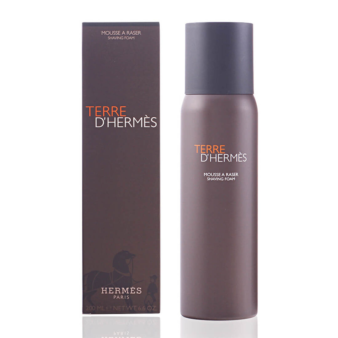 Hermes Terre D&