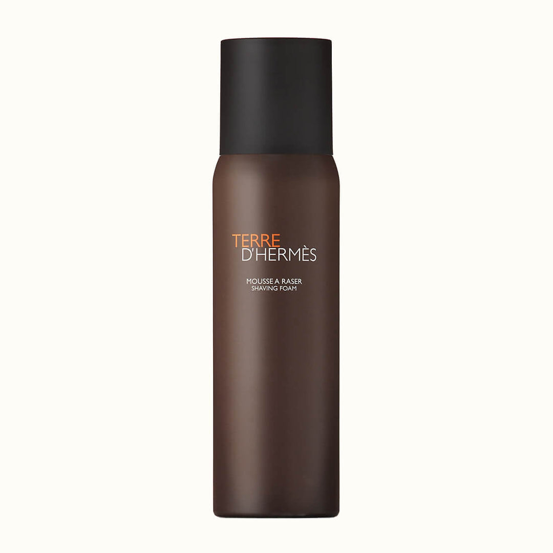 Hermes Terre D&