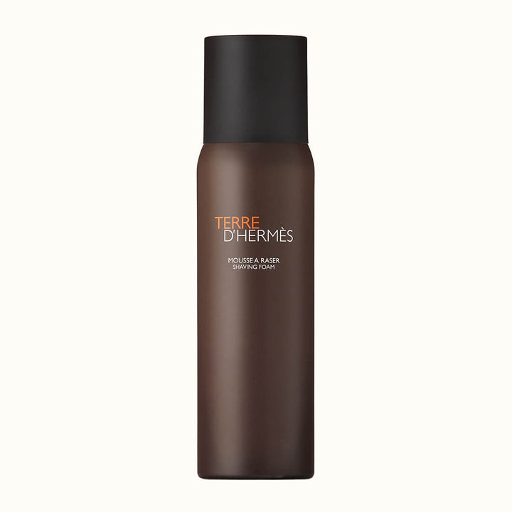 Hermes Terre D&