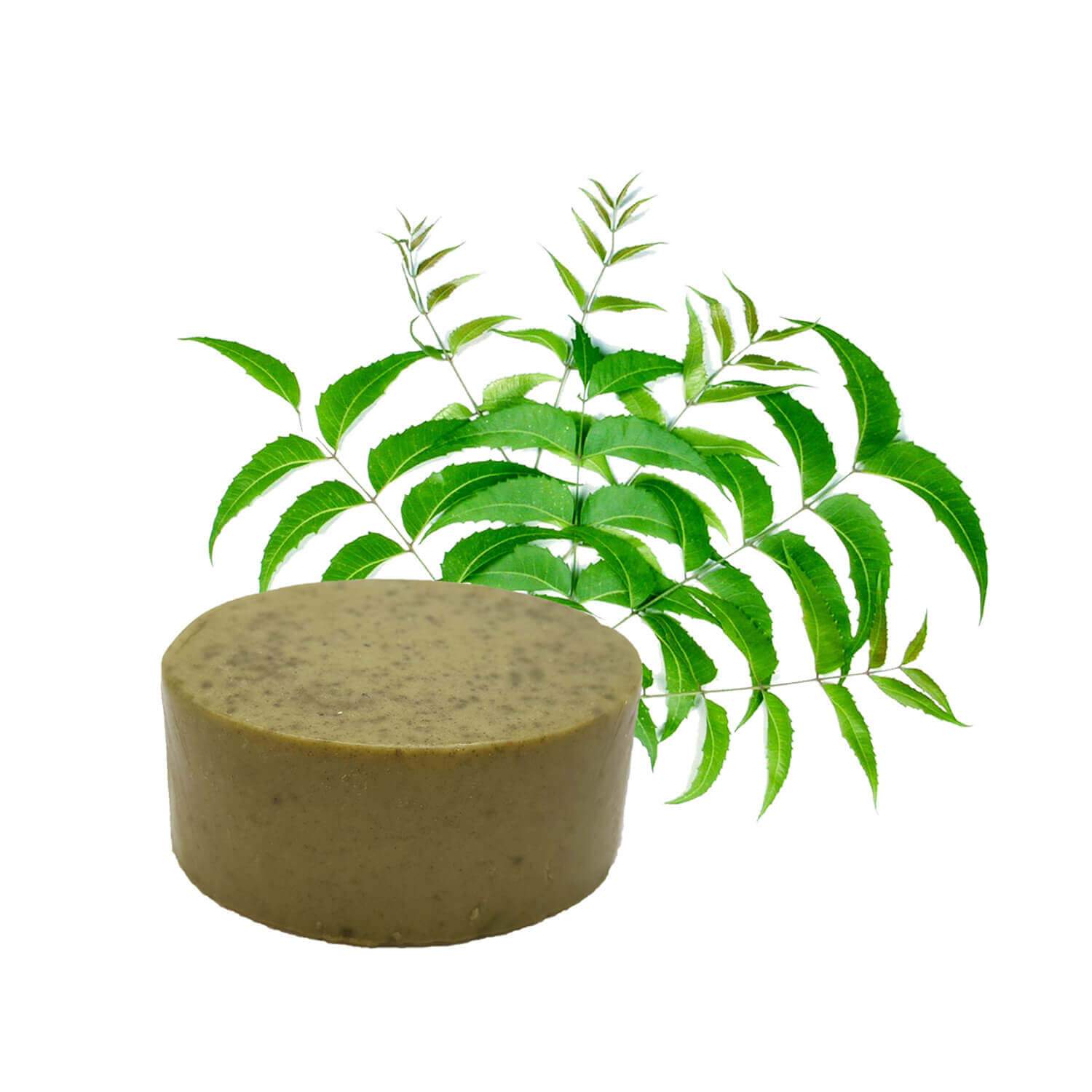 Organic NEEM Soap – FridayCharm.com